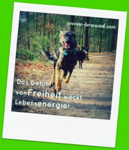 Hunde_Tanja_Energiesäule_07022016_bearbeitet